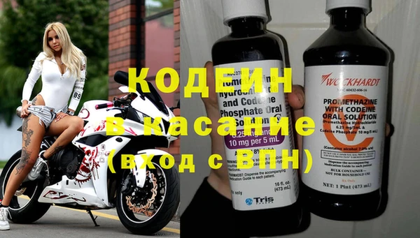 ГАЛЛЮЦИНОГЕННЫЕ ГРИБЫ Арсеньев