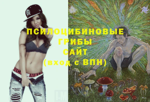 ALPHA-PVP Армянск